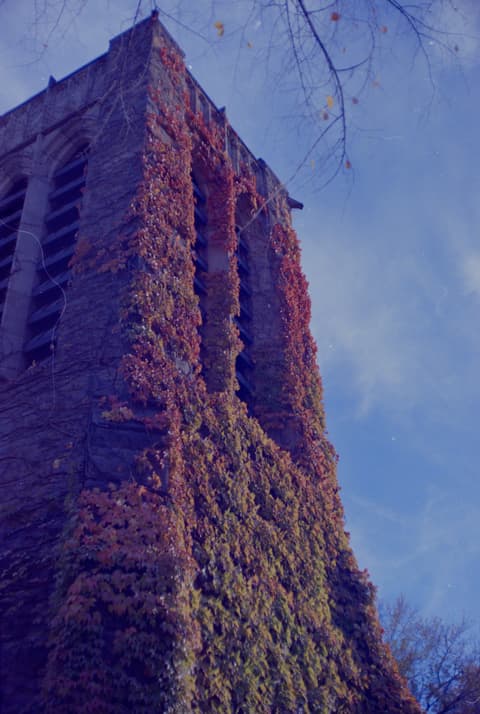 Autumn in Boise, October 1971, photograph 1 of 6