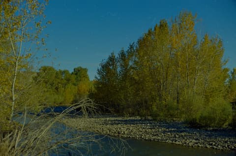 Autumn in Boise, October 1971, photograph 5 of 6