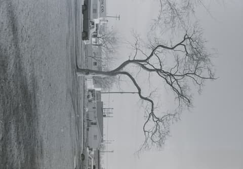 The Bonsai Party, April 1971, photograph 22 of 22