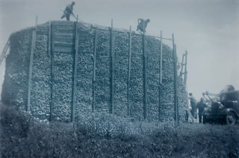 Brewster, Minnesota, probably the 1930s, photograph 6 of 9
