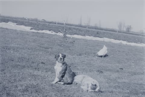 Brewster, Minnesota, probably the 1930s, photograph 9 of 9