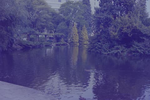 Canadian Vacation: Peace Arch & Stanley Park, September 1973, photograph 14 of 17