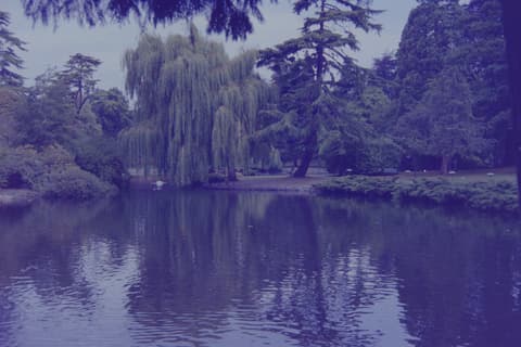 Canadian Vacation: Peace Arch & Stanley Park, September 1973, photograph 15 of 17