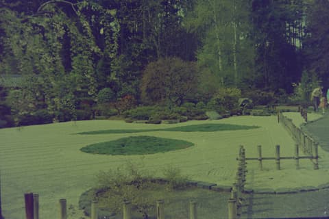 The Coast & the Japanese Garden, March 1974, photograph 4 of 11