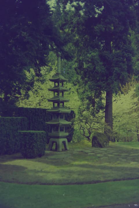The Coast & the Japanese Garden, March 1974, photograph 5 of 11