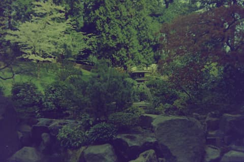 The Coast & the Japanese Garden, March 1974, photograph 6 of 11