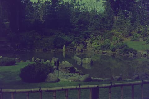 The Coast & the Japanese Garden, March 1974, photograph 7 of 11