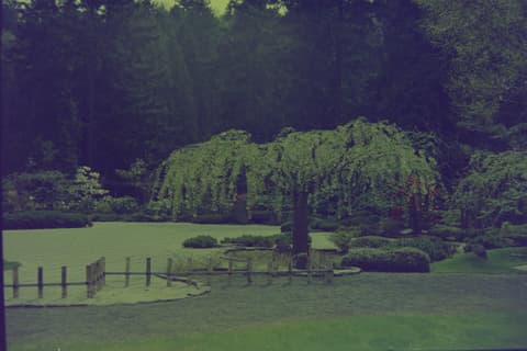 The Coast & the Japanese Garden, March 1974, photograph 8 of 11