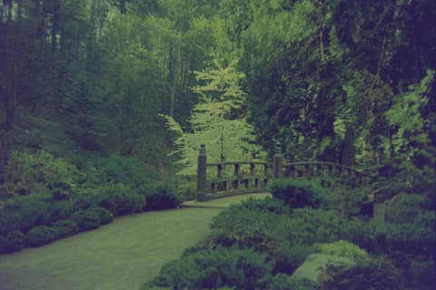 The Coast & the Japanese Garden, March 1974, photograph 10 of 11