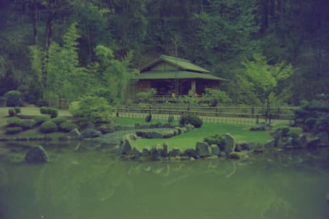 The Coast & the Japanese Garden, March 1974, photograph 11 of 11