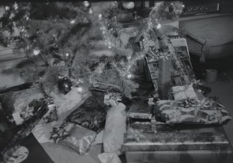 Christmas & Grimes Creek, December 1971 – April 1972, photograph 7 of 12