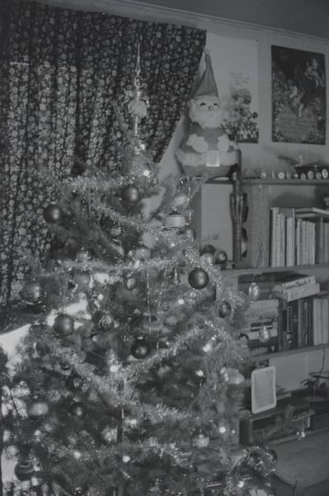 Christmas & Grimes Creek, December 1971 – April 1972, photograph 9 of 12