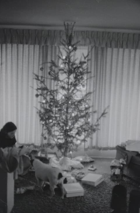 Christmas & Grimes Creek, December 1971 – April 1972, photograph 12 of 12