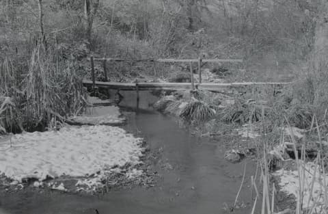 Christmas & Snow, November 1971, photograph 7 of 16