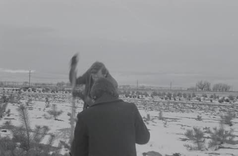 Christmas & Snow, November 1971, photograph 8 of 16