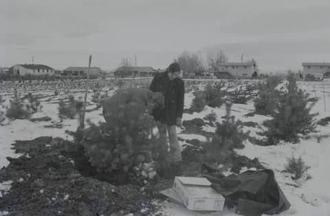 Christmas & Snow, November 1971, photograph 10 of 16