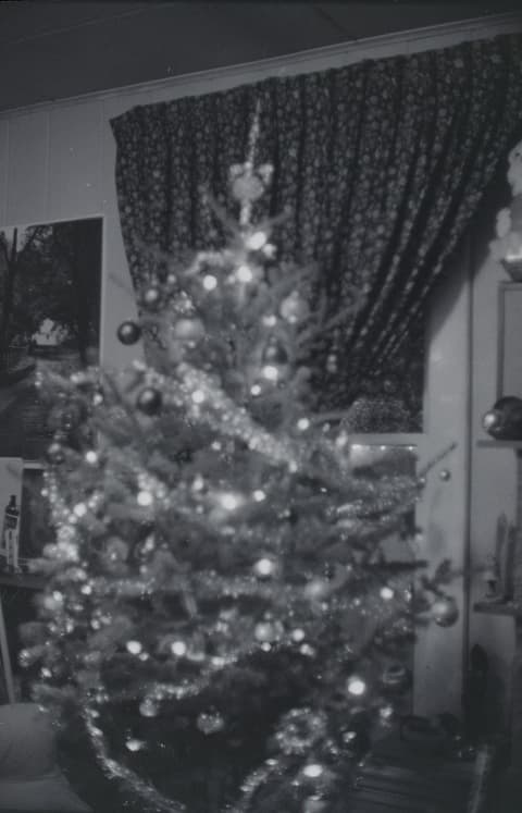 Christmas & Snow, November 1971, photograph 14 of 16