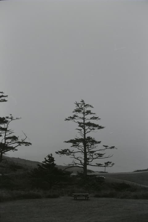 The Coast, August 1973, photograph 11 of 13