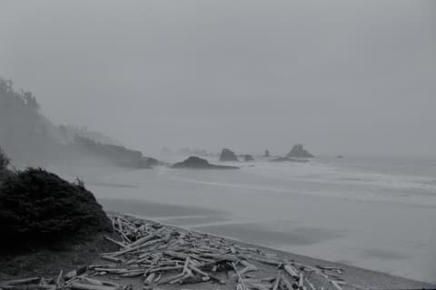 The Coast, August 1973, photograph 12 of 13