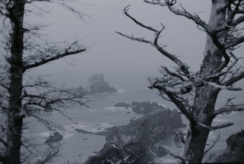 The Coast, August 1973, photograph 13 of 13