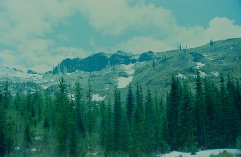The Coast & Mt. Hood, July 1973, photograph 1 of 16
