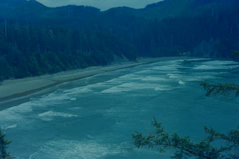The Coast & Mt. Hood, July 1973, photograph 3 of 16