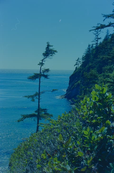 The Coast & Mt. Hood, July 1973, photograph 5 of 16