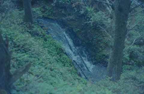 The Coast & Mt. Hood, July 1973, photograph 9 of 16