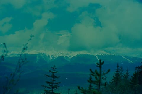 The Coast & Mt. Hood, July 1973, photograph 11 of 16