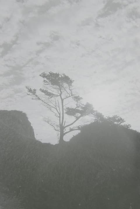 Cannon Beach, Halloween & Seattle, autumn 1973, photograph 1 of 11