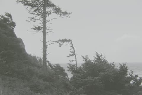 Cannon Beach, Halloween & Seattle, autumn 1973, photograph 5 of 11