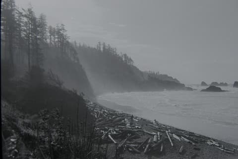 Cannon Beach, Halloween & Seattle, autumn 1973, photograph 6 of 11
