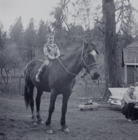 Found 120, Envelope 6, probably the late 1950s, photograph 1 of 29