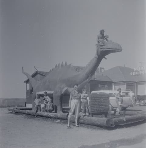 Found 120, Envelope 6, probably the late 1950s, photograph 3 of 29