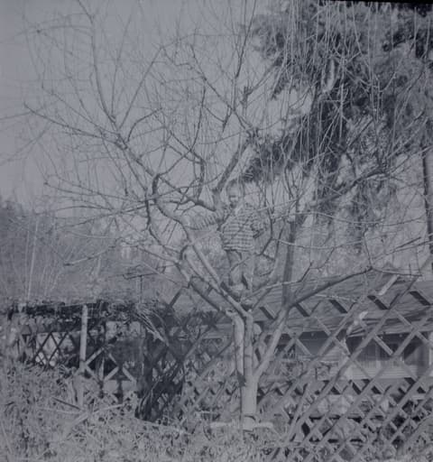 Found 120, Envelope 6, probably the late 1950s, photograph 14 of 29