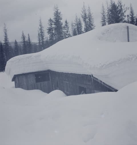 Snowbound, probably the 1950s, photograph 3 of 38