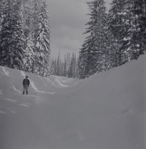 Snowbound, probably the 1950s, photograph 5 of 38
