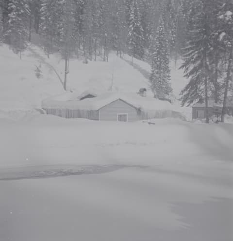 Snowbound, probably the 1950s, photograph 11 of 38