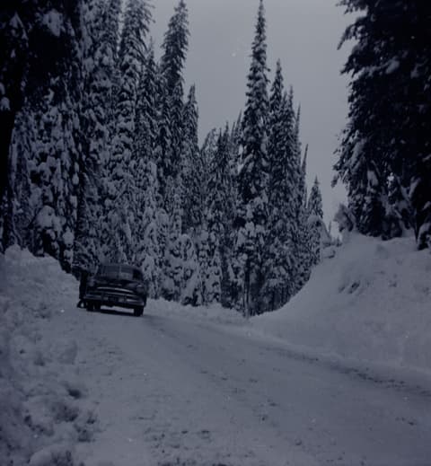 Snowbound, probably the 1950s, photograph 18 of 38