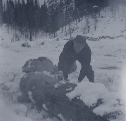 Snowbound, probably the 1950s, photograph 37 of 38