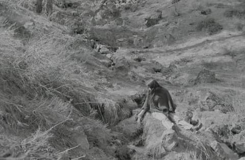 Grimes Creek, May 1972, photograph 2 of 6