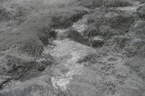 Grimes Creek, May 1972, photograph 3 of 6