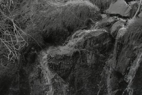 Grimes Creek, May 1972, photograph 5 of 6