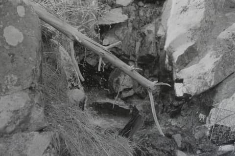 Grimes Creek, May 1972, photograph 6 of 6