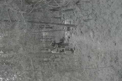 Horsethief Basin, 18 June 1971, photograph 1 of 3