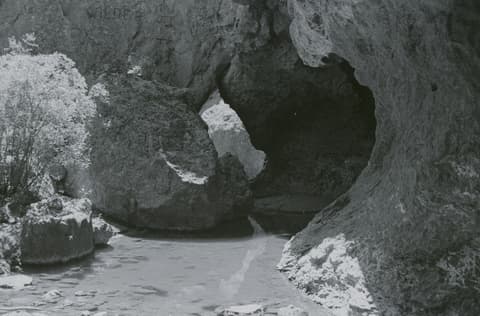 Jump Creek & Succor Creek, May 1971, photograph 13 of 19