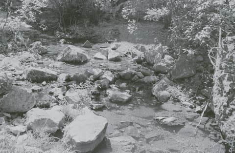 Jump Creek & Succor Creek, May 1971, photograph 16 of 19