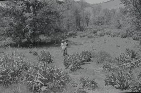 Mile High: Joe, Carolyn & John, 18 June 1971, photograph 7 of 7