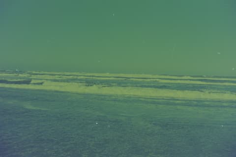 The Oregon Coast, Part I, 17 April 1974, photograph 2 of 12