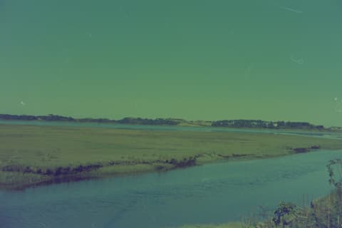 The Oregon Coast, Part I, 17 April 1974, photograph 3 of 12